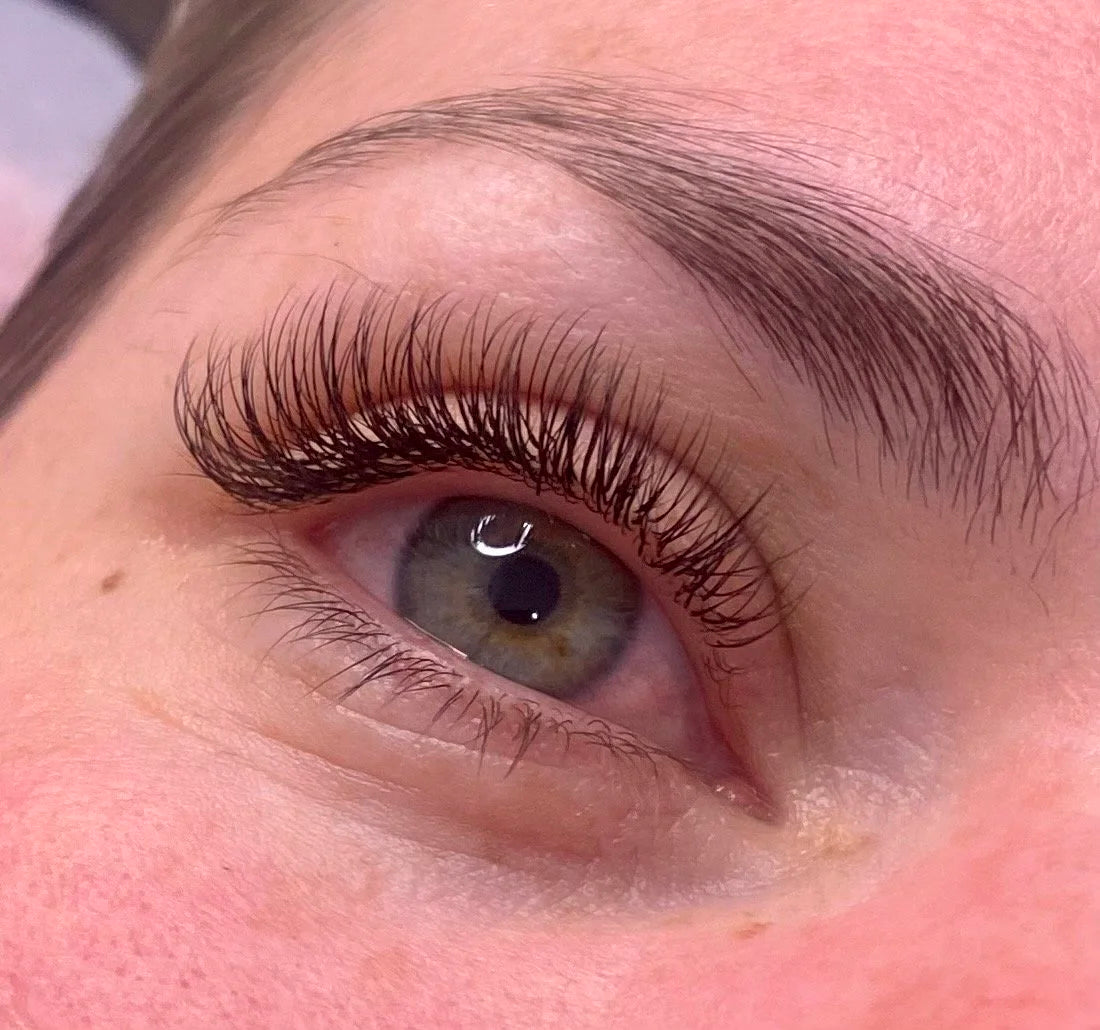 Mega Volume Lashes